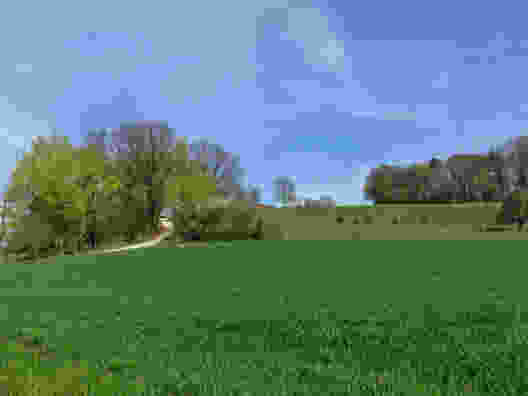Liebliche Landschaft bei Ramsen. Bild: Claudia Peter