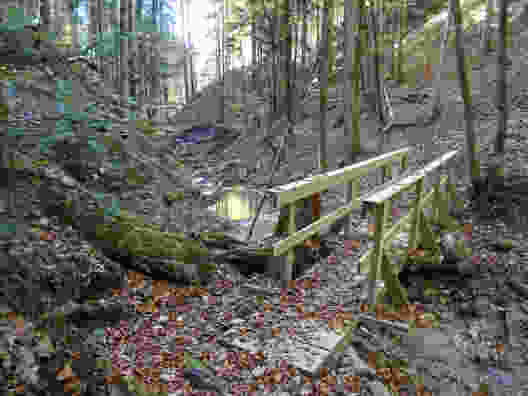 Dans le ravin du Hörlibach, un pont en bois pour franchir le ruisseau. Photo: Sabine Joss