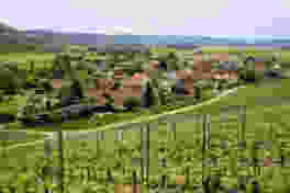 Ziel der Wanderung: das Weinbaudorf Wilchingen.