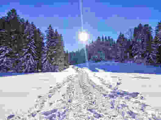 Tief verschneite Wälder beim Salomonstempel. Bild: Andreas Staeger