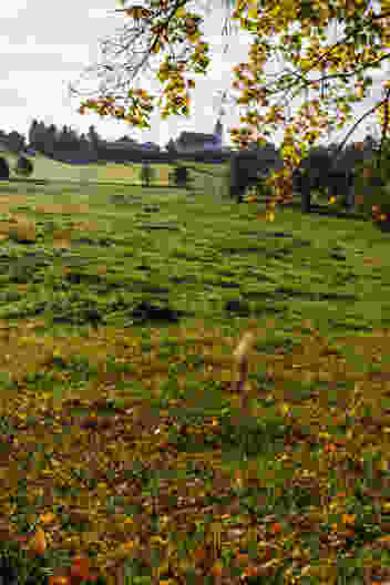 Blick zurück auf die Kirche von Montfaucon. Bild: Severin Nowacki