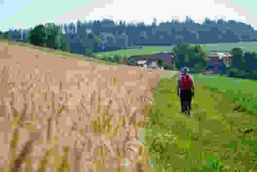 Felder und Dörfer auf dem Längenberg.