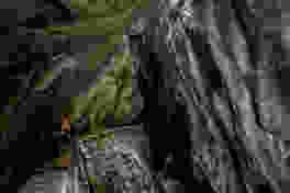 Ab in die Schlucht, wo früher Kranke an einem Seil heruntergelassen wurden. Bild: Randy Schmieder
