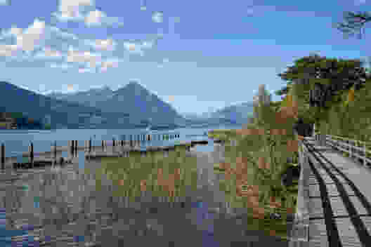 Passerelle à travers la réserve naturelle de Weissenau, au bord du lac de Thoune. Vue sur le Niesen. Photos : Fredy Joss
