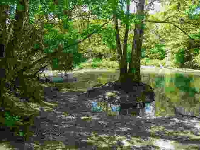 L’Allondon ravit par sa nature sauvage.
