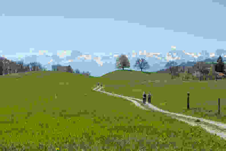 Peu avant le hameau de Hofmatt: des prairies verdoyantes et les sommets enneigés au loin. Photo: Markus Ruff