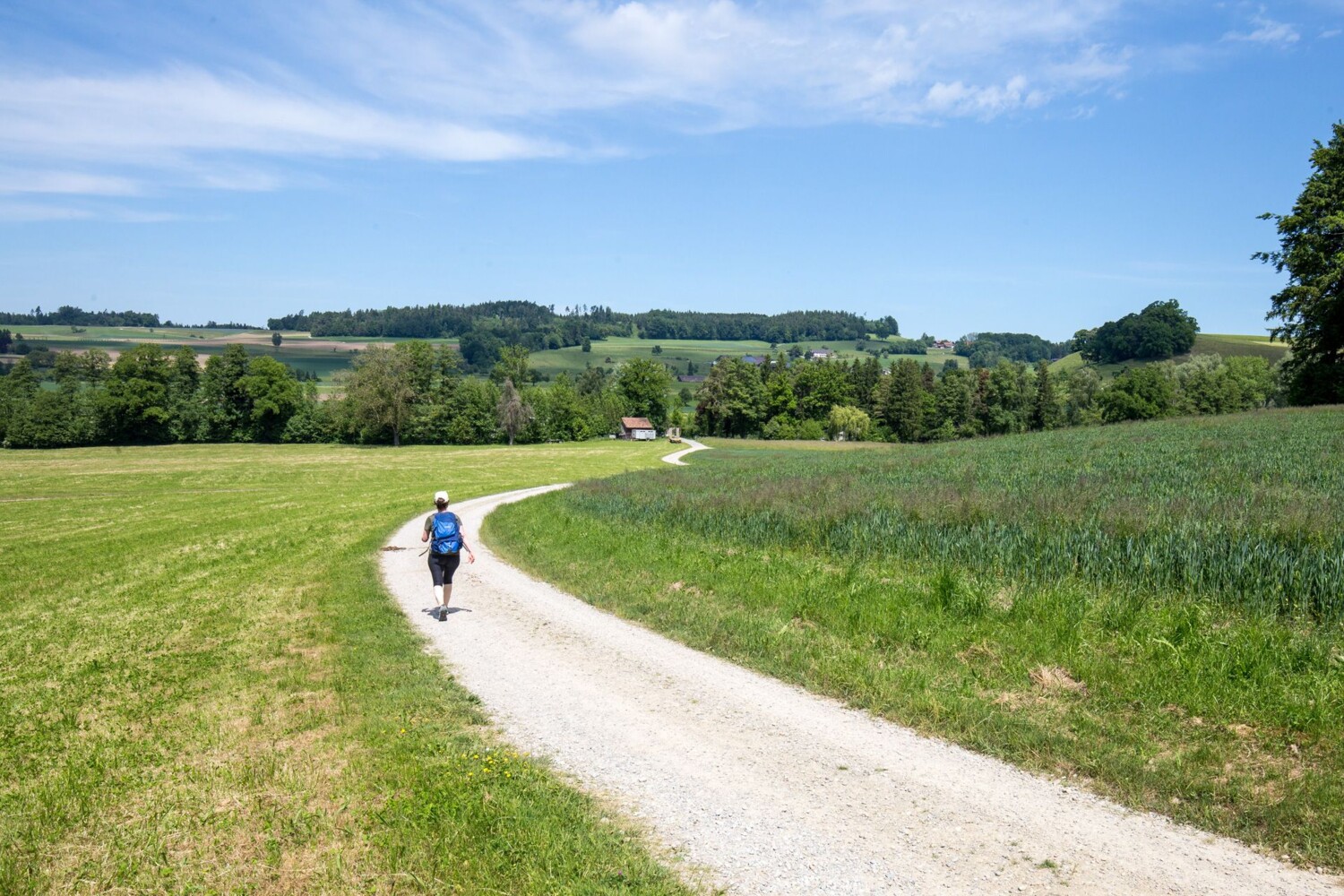 La randonnée est agréable entre le Getschhuuserweier et Lustdorf.