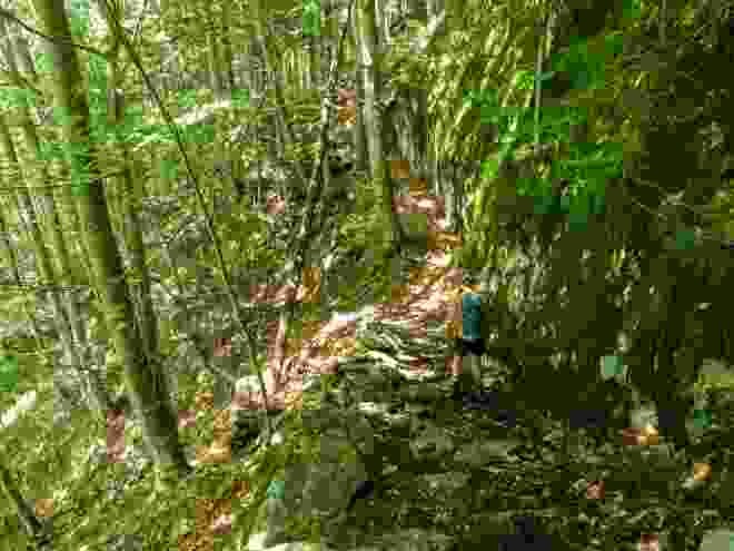 La descente dans la vallée est relativement raide et peut mettre les genoux à rude épreuve.