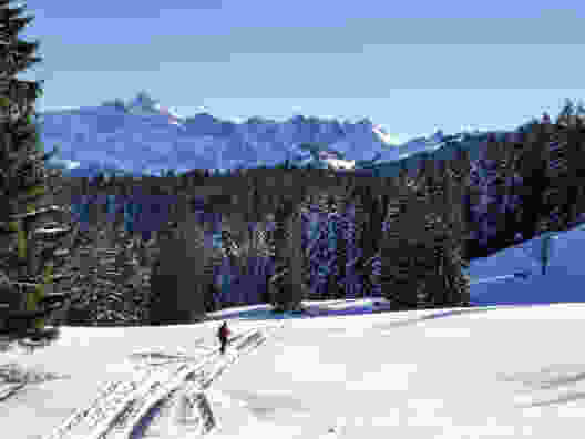 Ausblick zum Alpstein. Bild: Andreas Staeger