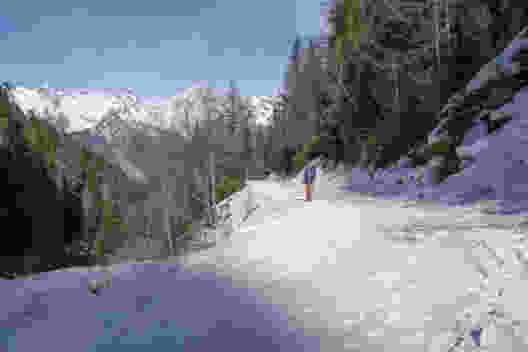 Zwischen Bürchen und der Brandalp verläuft die Route im Wald. Das Bietschhorn blitzt aber manchmal durch die Baumwipfel. Bild: Markus Ruff