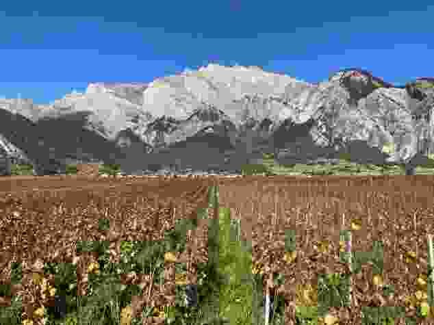 Chamoson, au pied du Haut de Cry