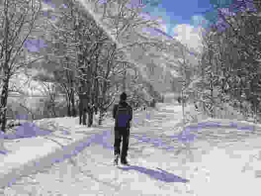 Winterwanderweg nach Realp. Bild: Laura Riedi