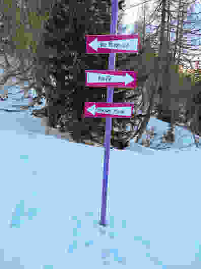 Der Verlauf der Route wird mit violetten Stangen und pinkfarbigen Tafeln angezeigt. Bild: Andreas Staeger