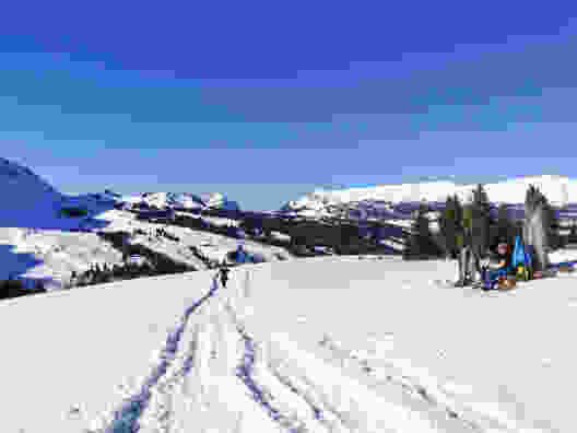 Bei Schwendeli, im Hintergrund Hohgant und Schratteflue. Bild: Andreas Staeger