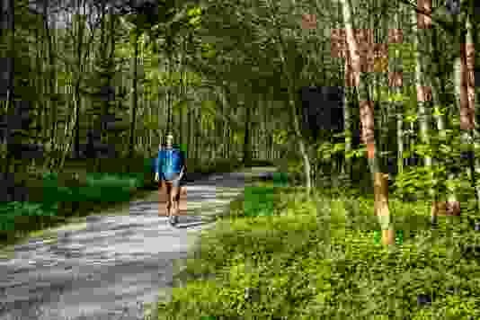 Une promenade dans la forêt mène à la carrière d’Ostermundigen.