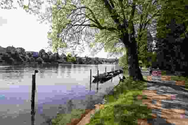 Die Wanderung führt fast immer dem Rhein entlang.