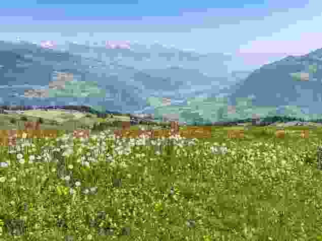Von der Bündner Rigi aus liegt einem die Surselva zu Füssen.