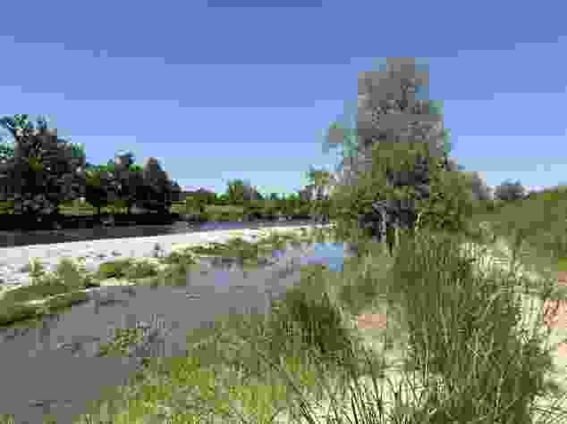 Le chemin de randonnée pédestre reste à proximité de la rive.