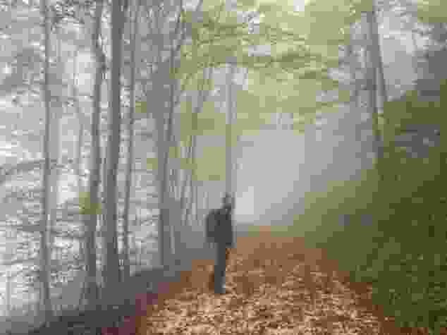 Brume mystique sur le Hauenstein