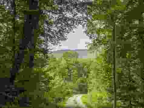Oberhalb von Veltheim, wo die Wanderung beginnt.