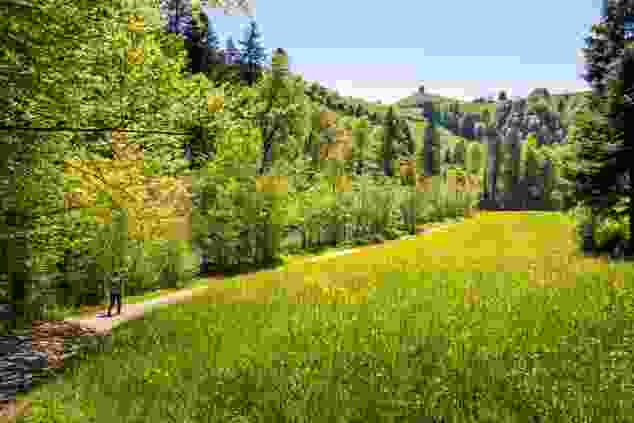 Entre Sihlsprung et Sihlbrugg, la vallée de la Sihl est particulièrement pittoresque et préservée.