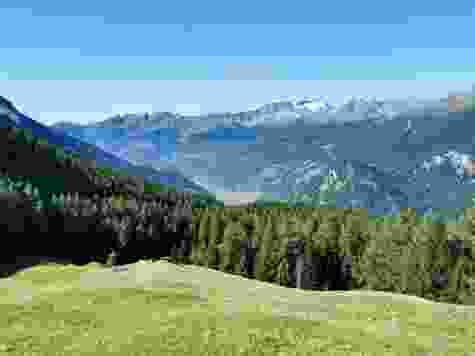 Beim Aufstieg verwöhnt einen der Blick ins Puschlav hinunter.