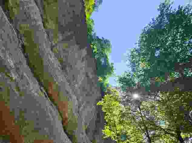 Eine imposante überhängende Nagelfluhwand befindet sich in der Mitte der Schlucht