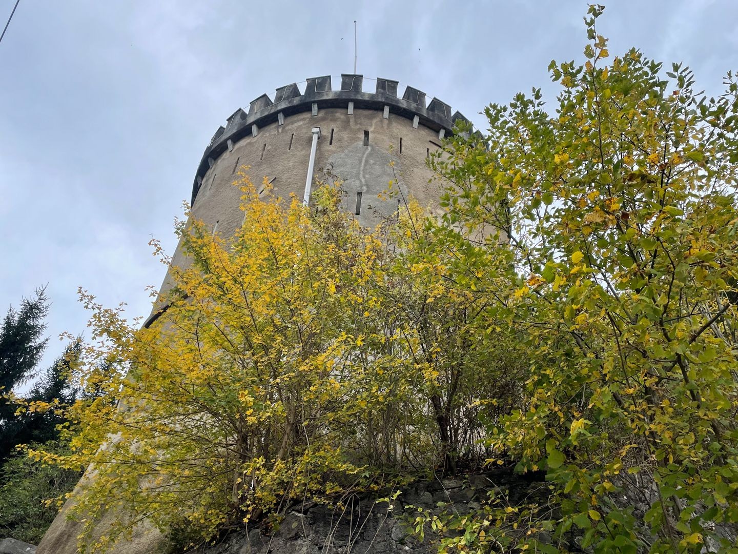 Feurige Herbstwanderung in Liechtenstein mit Aussicht aufs Rheintal