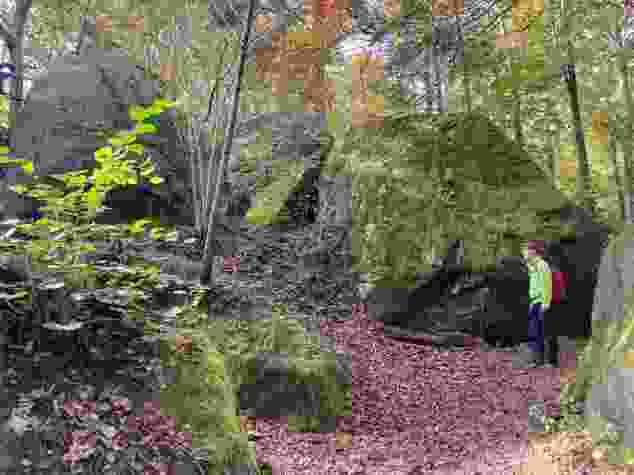 Im Bois de la Chenaula