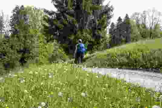 Kurz nach dem Start der Tour in Sihlbrugg Dorf übernimmt die Natur. Zwischen blühenden Wiesen und Bäumen geht es der Sihl entgegen.