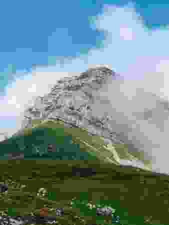 Margelkopf