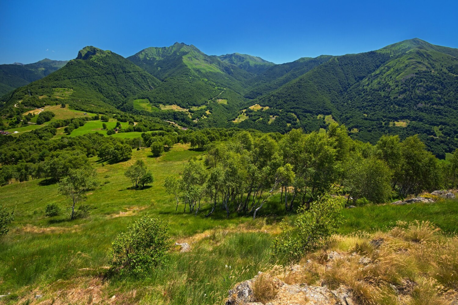 Vue sur le Pizzo di Corgella et la Valle di Caneggio depuis Mattro.