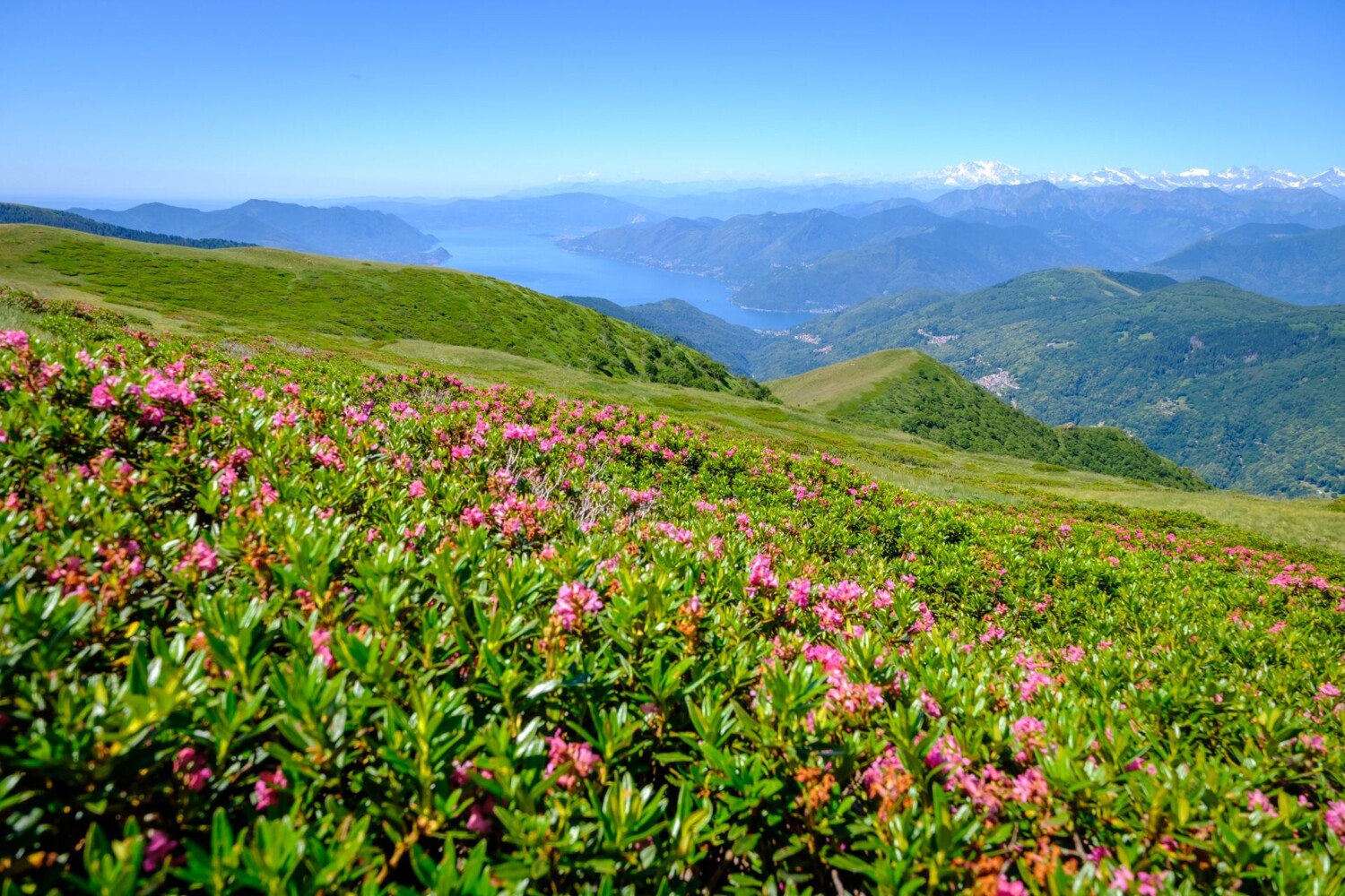 Du Gradicciòli, la vue porte sur le lac de Lugano et le Monte Rosa.