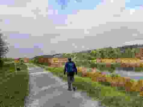 Kurz nach Rottenschwil führt der Wanderweg auf einem Damm durch die Reussebene.