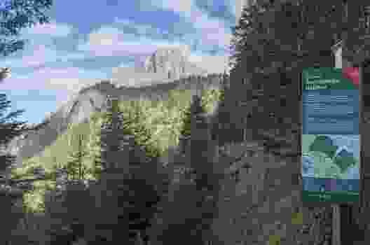 Der Äugstenwald – ein spannendes Waldreservat. Dahinter der Schilt.